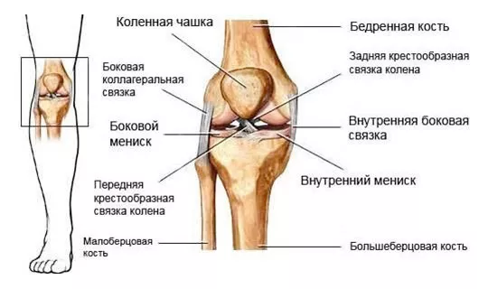 Изображение - Лфк после разрыва связок коленного сустава koleno