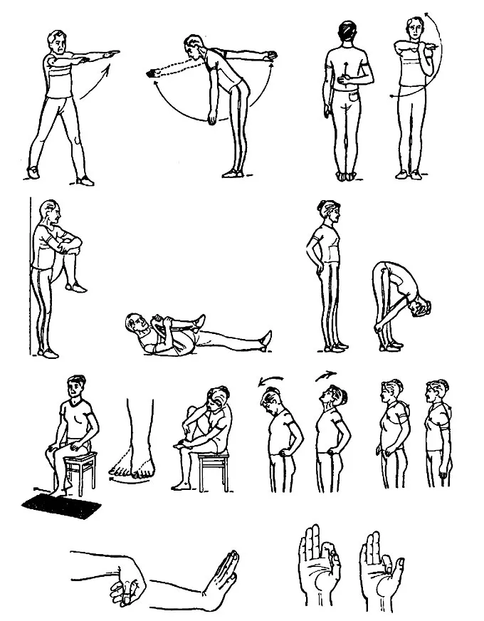 Примеры упражнений для суставов конечностей и позвоночника